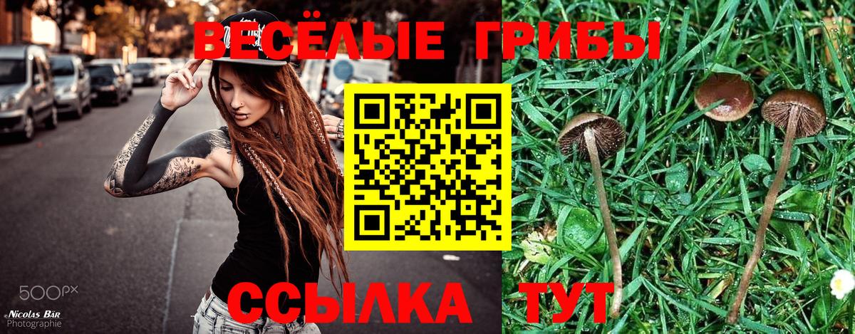 как найти закладки  Вход с VPN  Орск  Галлюциногенные грибы ЛСД 